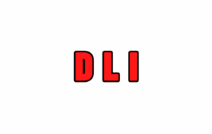 DLI : Perf. Mixte/2