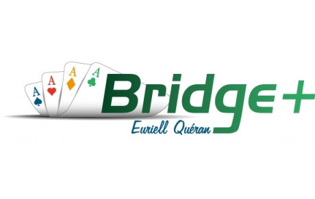 Bridge Plus